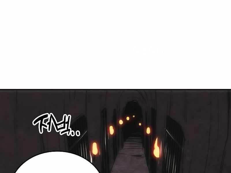 Bản Năng Hồi Quy Của Chó Săn