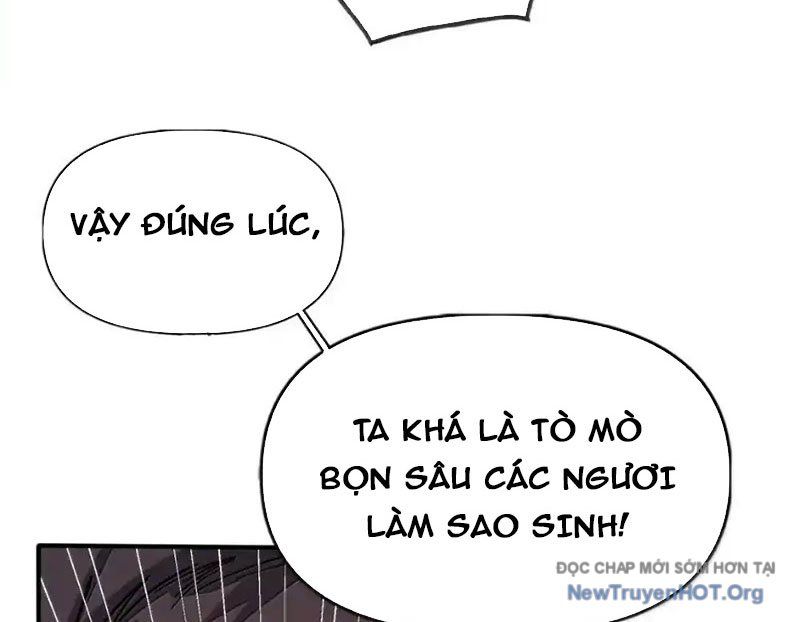 Chặt Củi 10 Năm, Tiên Tử Cầu Xin Ta Thu Nàng Làm Đồ Đệ