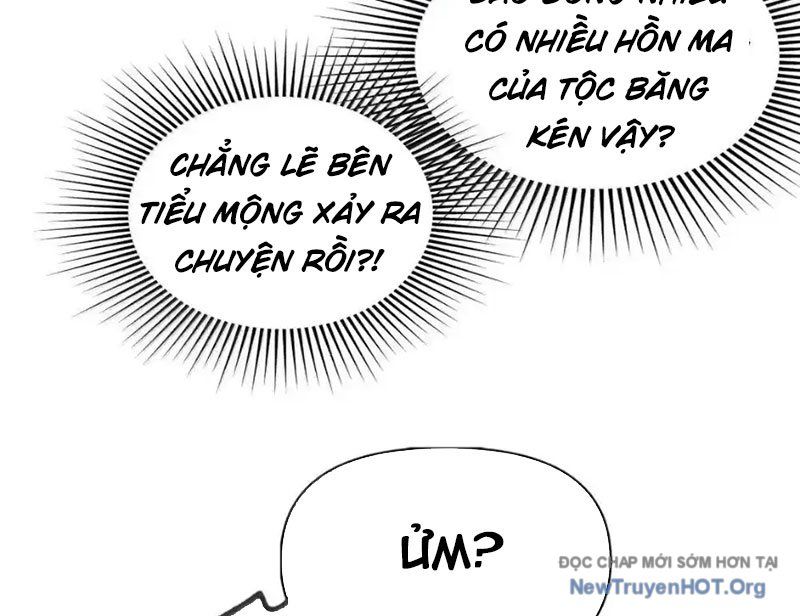 Chặt Củi 10 Năm, Tiên Tử Cầu Xin Ta Thu Nàng Làm Đồ Đệ
