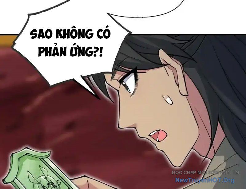 Chặt Củi 10 Năm, Tiên Tử Cầu Xin Ta Thu Nàng Làm Đồ Đệ