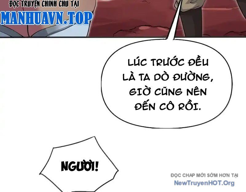 Chặt Củi 10 Năm, Tiên Tử Cầu Xin Ta Thu Nàng Làm Đồ Đệ