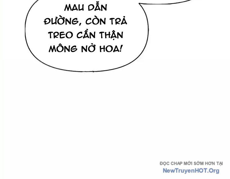 Chặt Củi 10 Năm, Tiên Tử Cầu Xin Ta Thu Nàng Làm Đồ Đệ