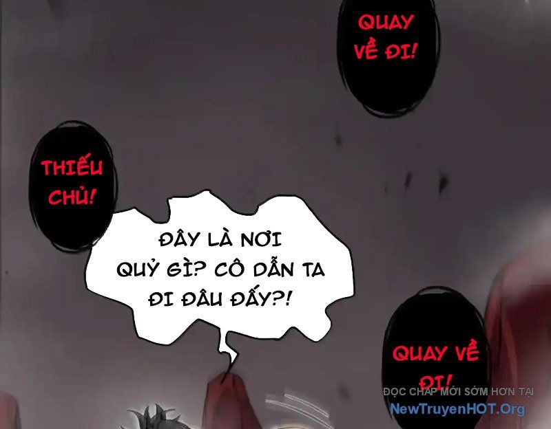 Chặt Củi 10 Năm, Tiên Tử Cầu Xin Ta Thu Nàng Làm Đồ Đệ