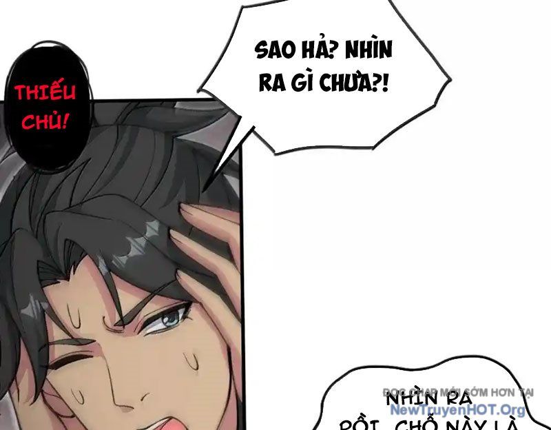 Chặt Củi 10 Năm, Tiên Tử Cầu Xin Ta Thu Nàng Làm Đồ Đệ