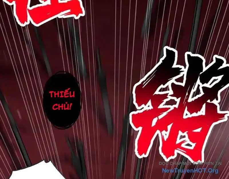 Chặt Củi 10 Năm, Tiên Tử Cầu Xin Ta Thu Nàng Làm Đồ Đệ