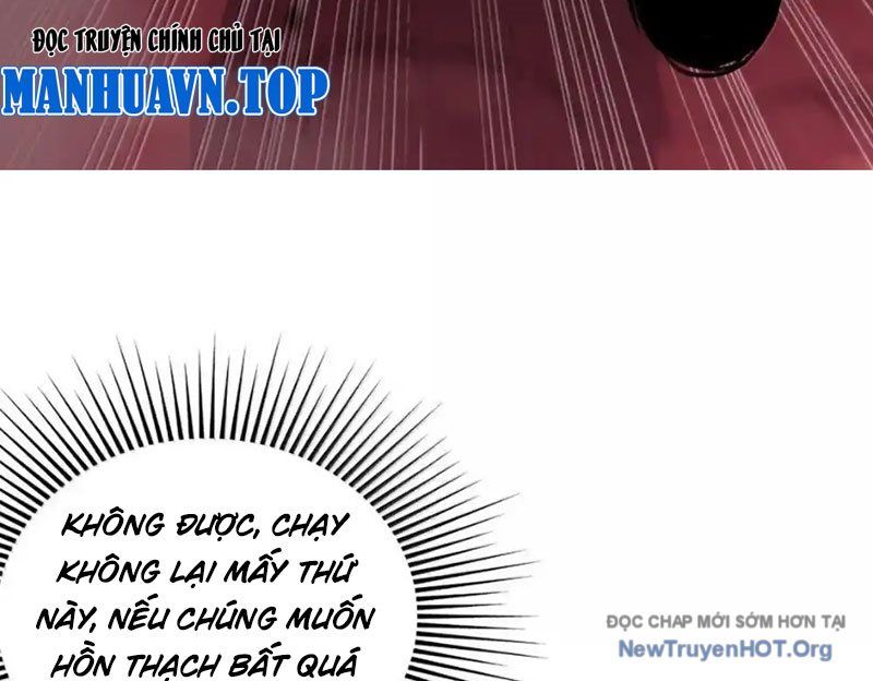 Chặt Củi 10 Năm, Tiên Tử Cầu Xin Ta Thu Nàng Làm Đồ Đệ
