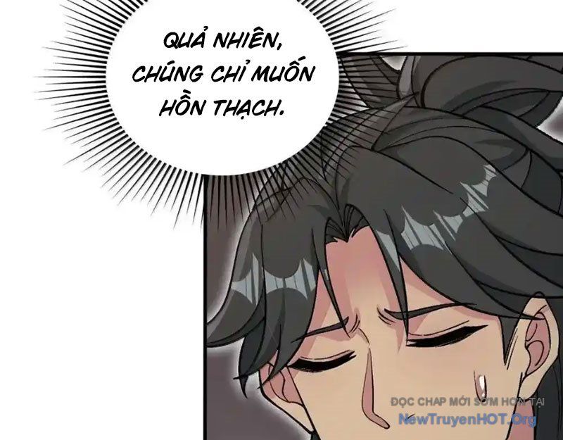 Chặt Củi 10 Năm, Tiên Tử Cầu Xin Ta Thu Nàng Làm Đồ Đệ