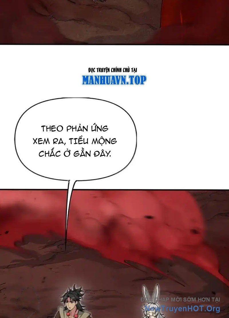 Chặt Củi 10 Năm, Tiên Tử Cầu Xin Ta Thu Nàng Làm Đồ Đệ