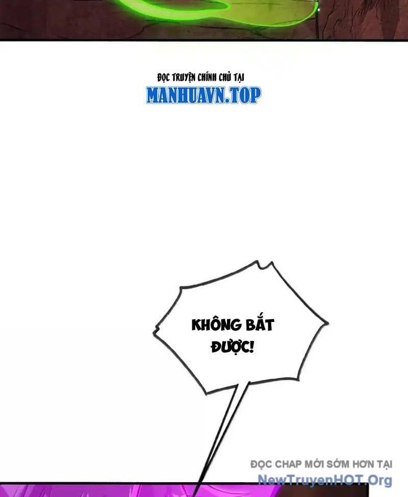 Chặt Củi 10 Năm, Tiên Tử Cầu Xin Ta Thu Nàng Làm Đồ Đệ