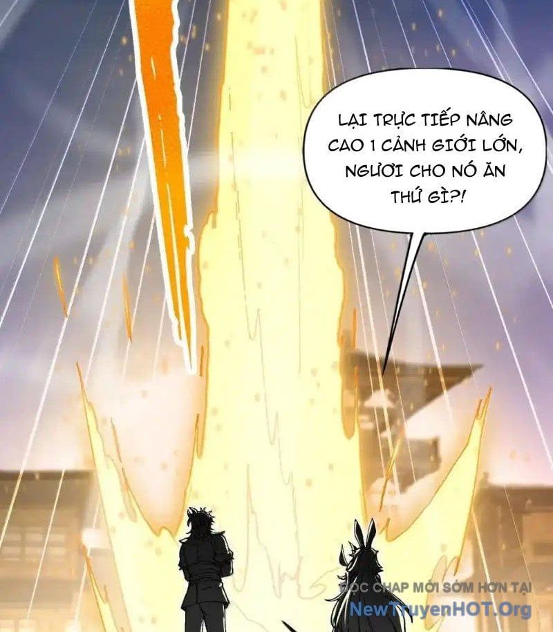 Chặt Củi 10 Năm, Tiên Tử Cầu Xin Ta Thu Nàng Làm Đồ Đệ