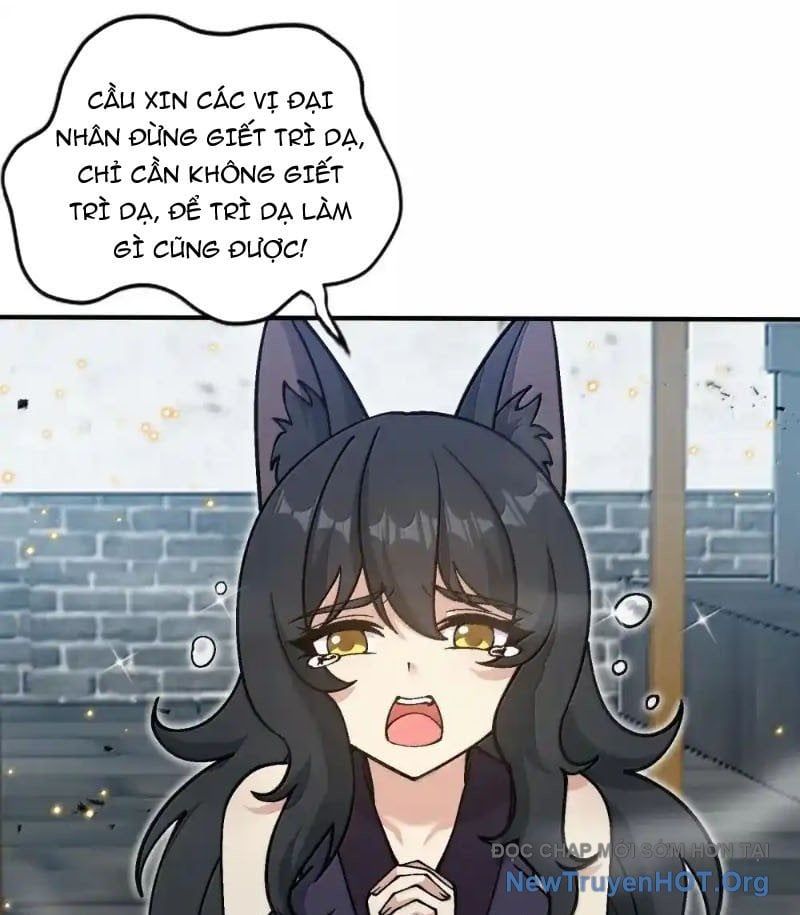 Chặt Củi 10 Năm, Tiên Tử Cầu Xin Ta Thu Nàng Làm Đồ Đệ