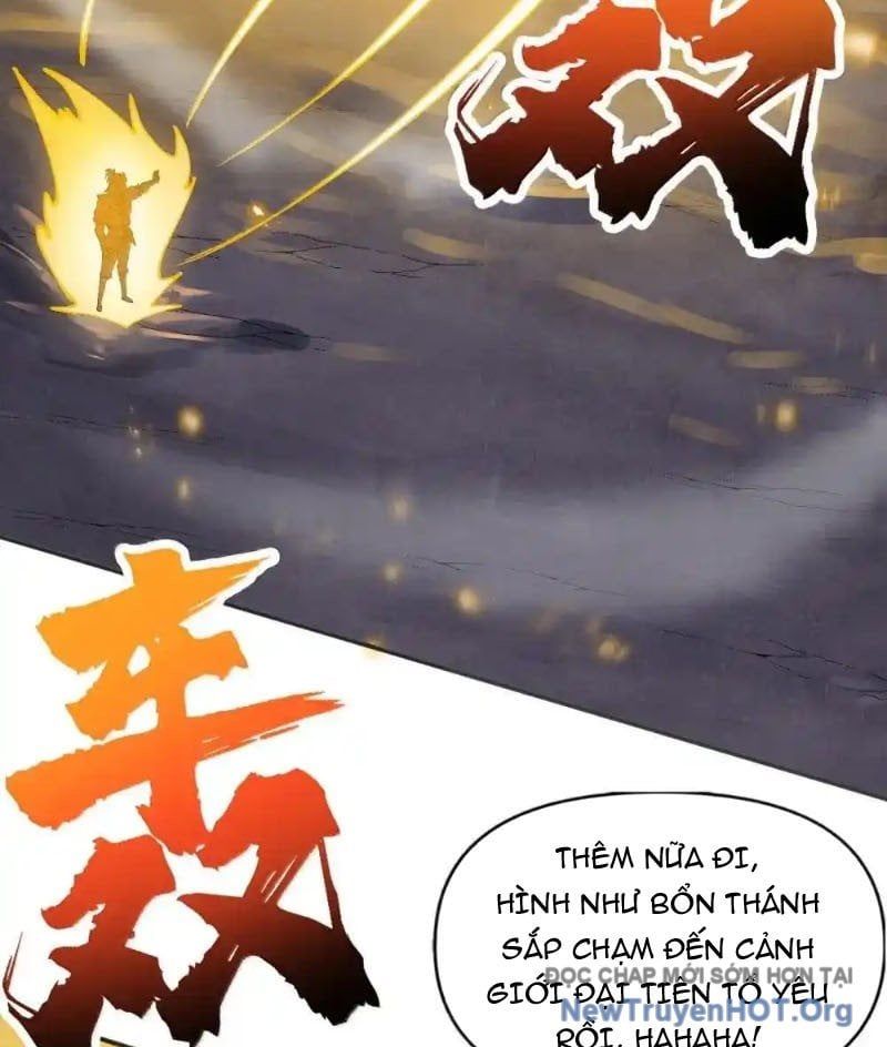 Chặt Củi 10 Năm, Tiên Tử Cầu Xin Ta Thu Nàng Làm Đồ Đệ