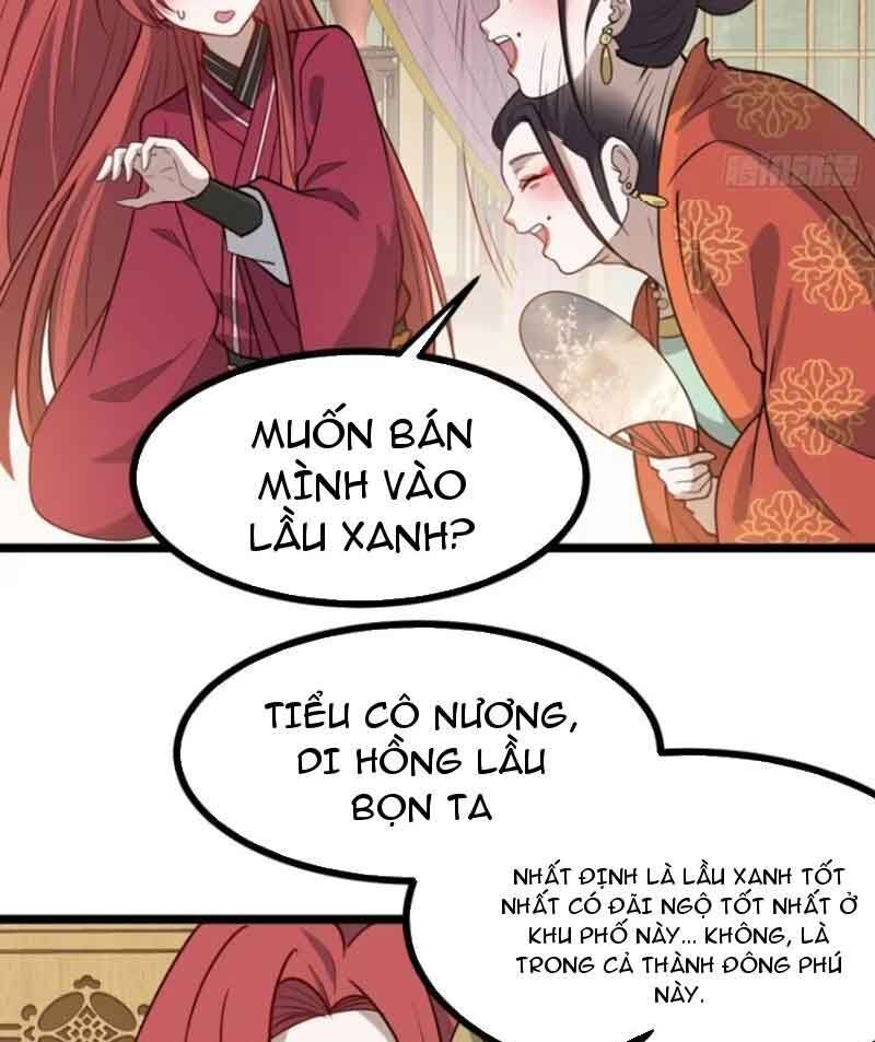 Hệ Thống Gánh Con Mạnh Nhất