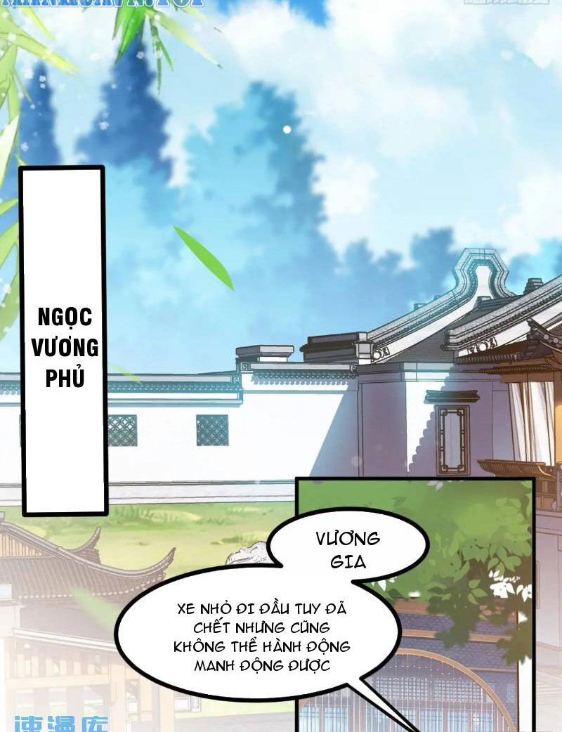 Hệ Thống Gánh Con Mạnh Nhất