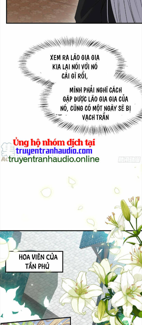 Hệ Thống Gánh Con Mạnh Nhất