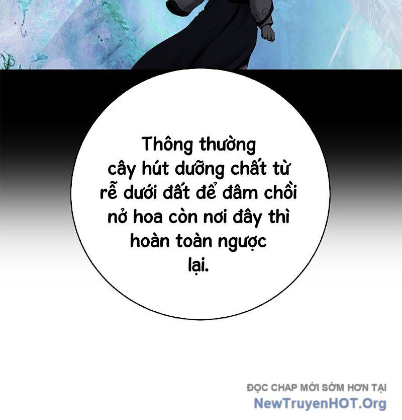 Lãng Tiên Kỳ Đàm