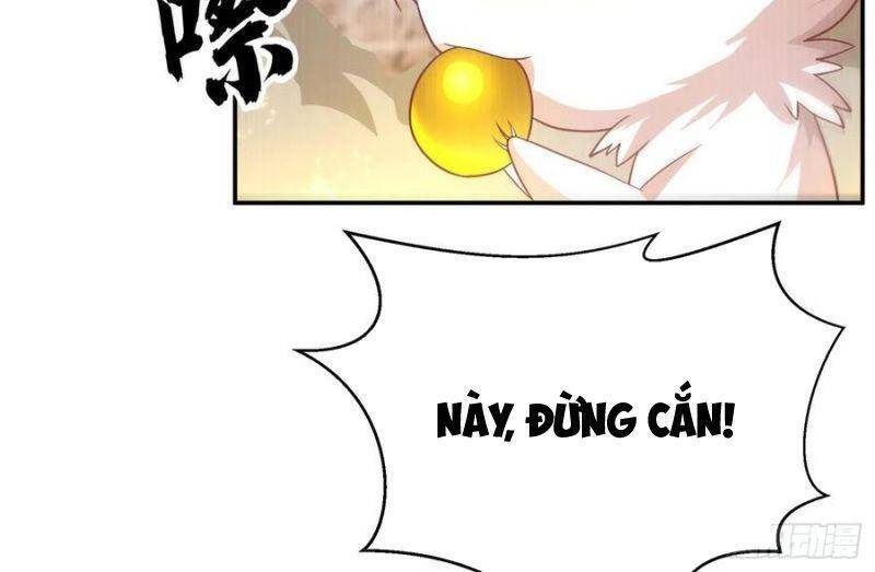 Võ Nghịch