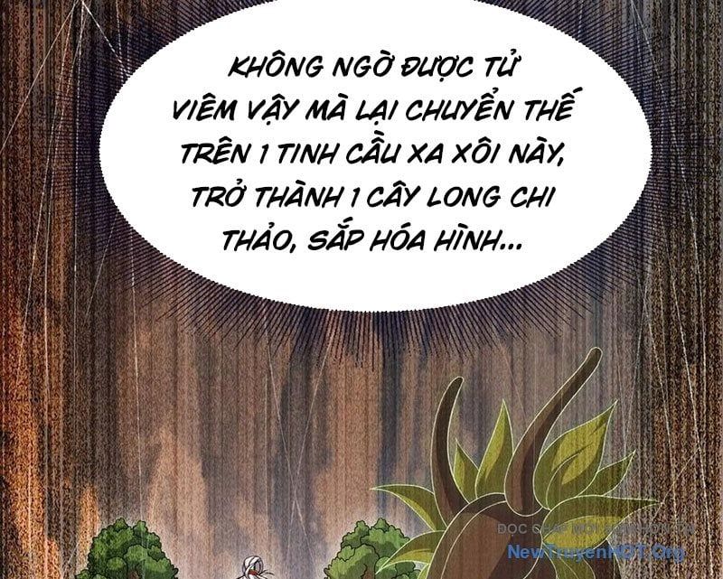 Tiên Võ Đế Tôn