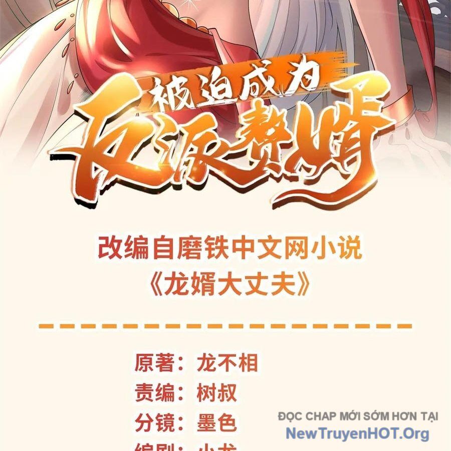 Người Ở Rể Bị Ép Thành Phản Diện