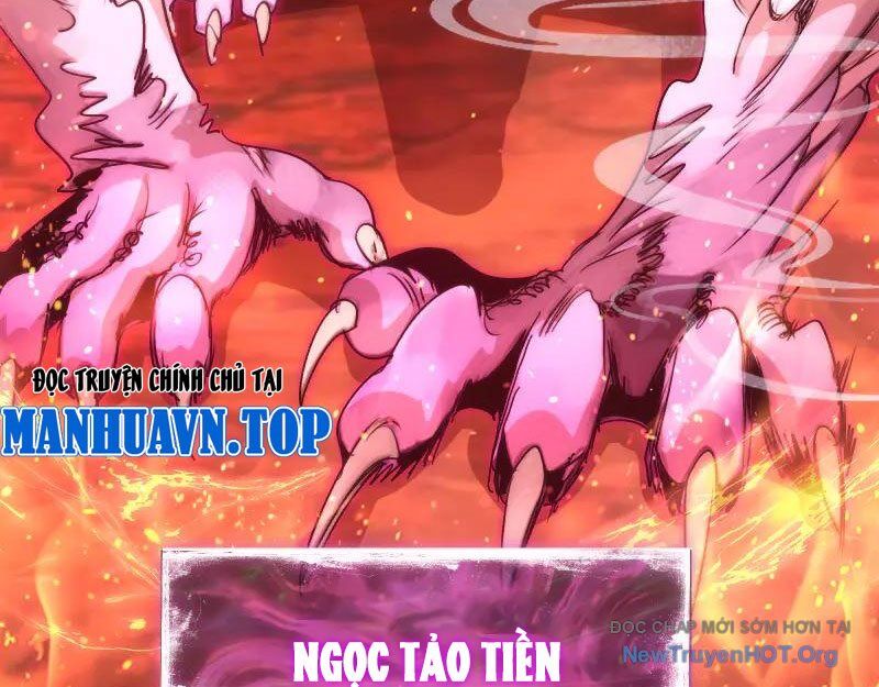 Cao Đẳng Linh Hồn