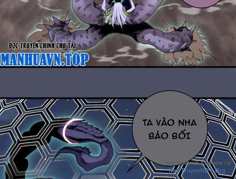 Cao Đẳng Linh Hồn