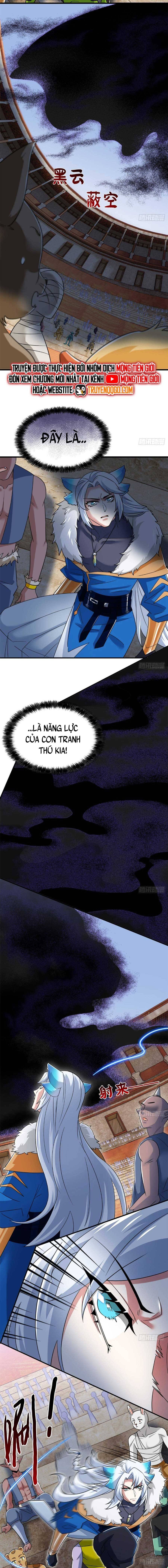 Cường Giả Đến Từ Trại Tâm Thần