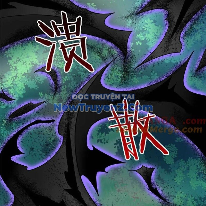 Cường Giả Đến Từ Trại Tâm Thần