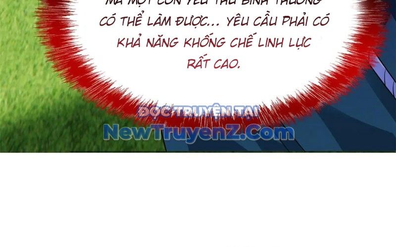 Cường Giả Đến Từ Trại Tâm Thần