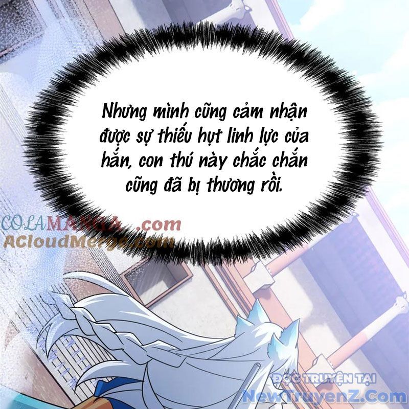 Cường Giả Đến Từ Trại Tâm Thần