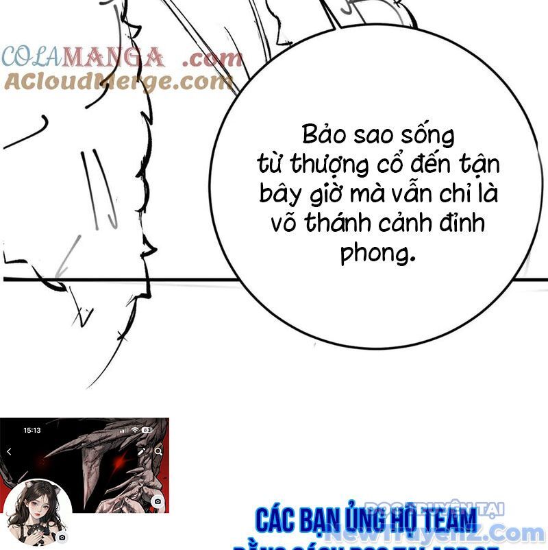 Cường Giả Đến Từ Trại Tâm Thần