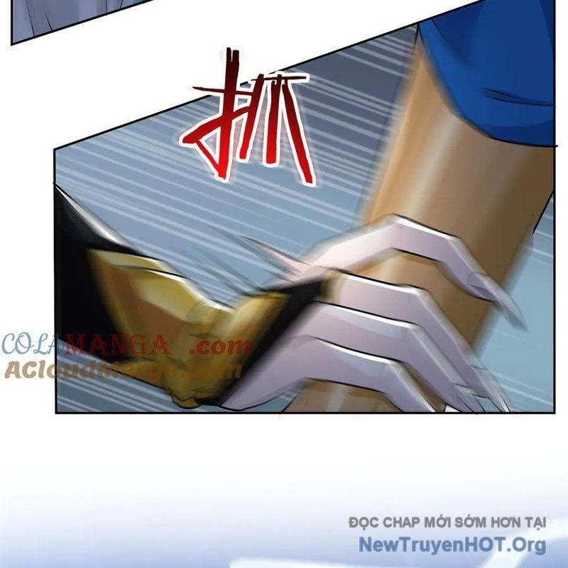 Cường Giả Đến Từ Trại Tâm Thần