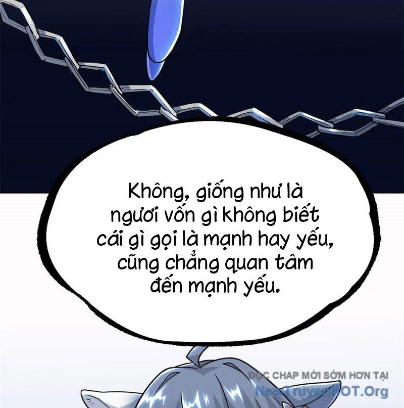 Cường Giả Đến Từ Trại Tâm Thần