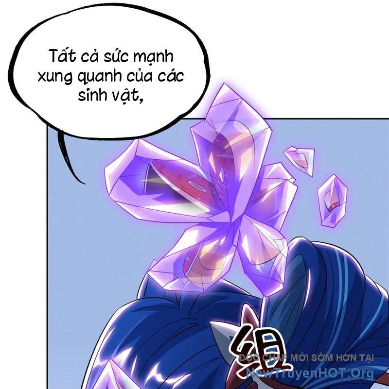 Cường Giả Đến Từ Trại Tâm Thần