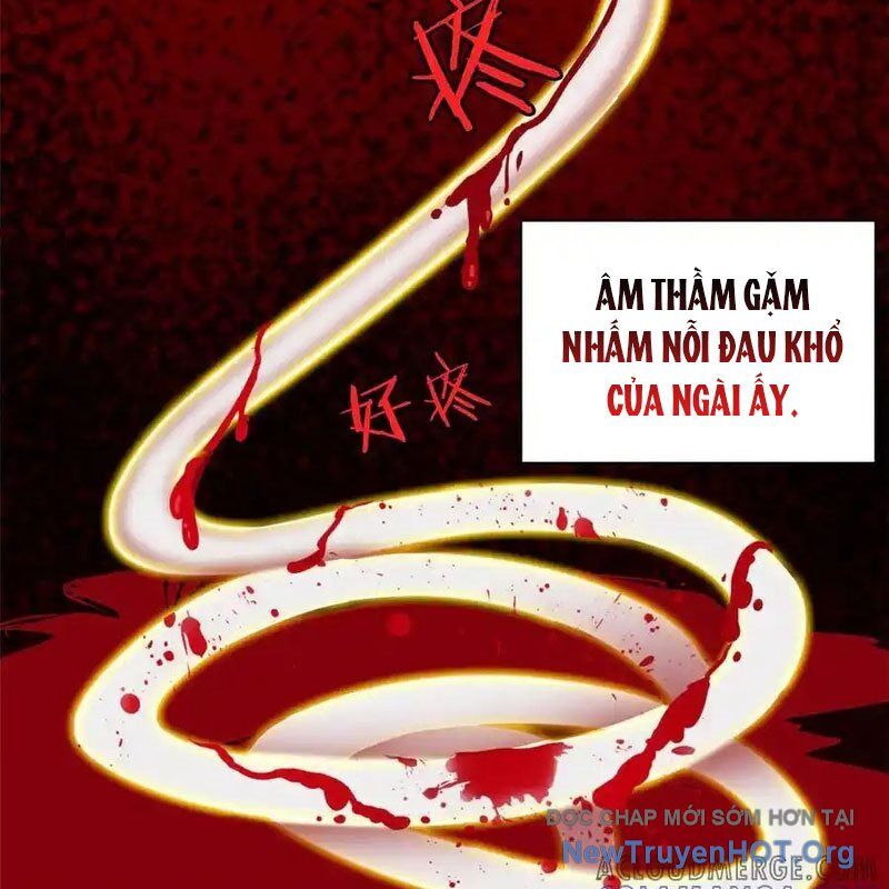 Cường Giả Đến Từ Trại Tâm Thần