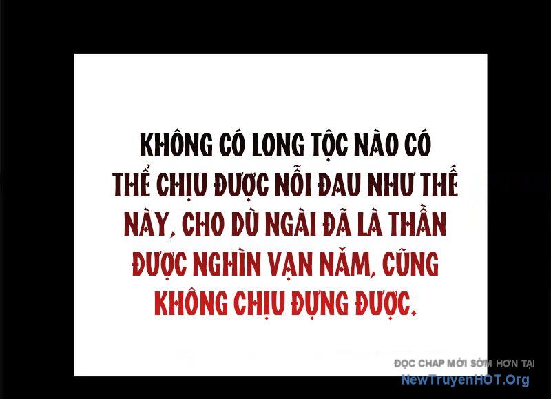 Cường Giả Đến Từ Trại Tâm Thần