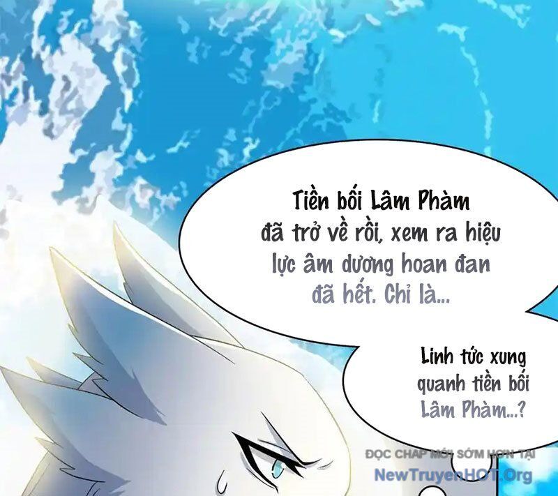 Cường Giả Đến Từ Trại Tâm Thần