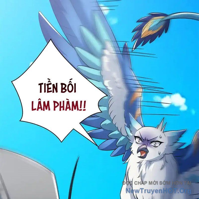 Cường Giả Đến Từ Trại Tâm Thần
