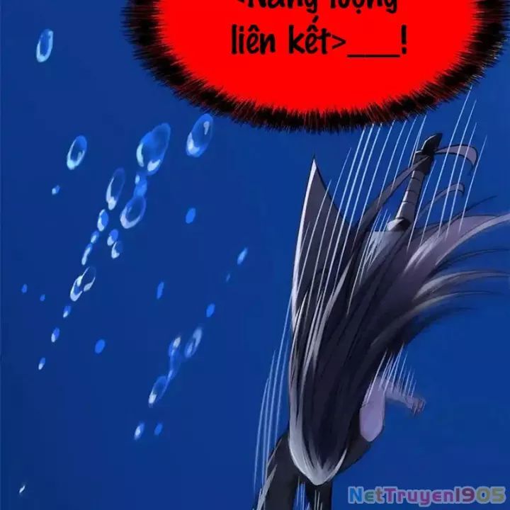Cường Giả Đến Từ Trại Tâm Thần