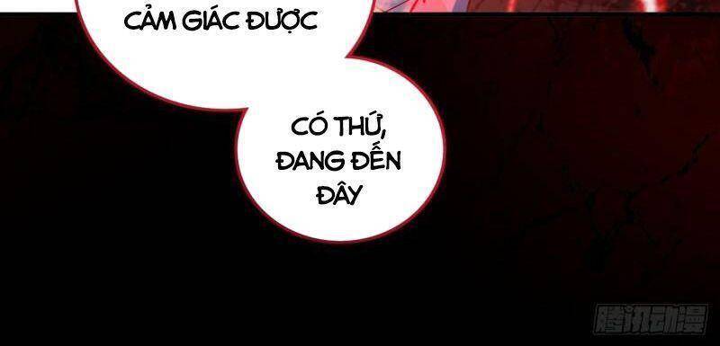 Bị Dạy Dỗ Thành Thánh