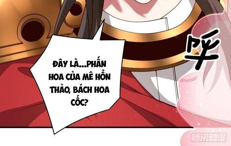 Bị Dạy Dỗ Thành Thánh