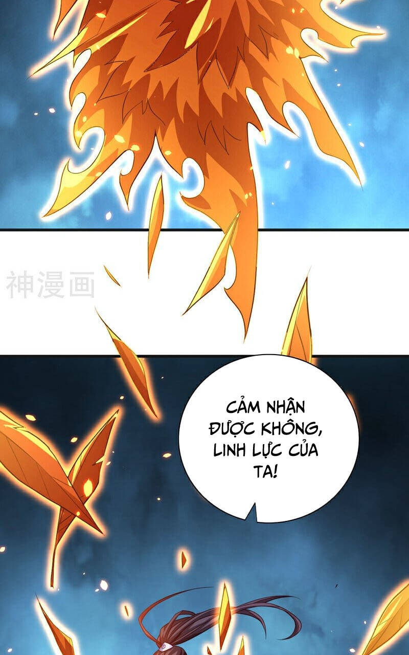 Bị Dạy Dỗ Thành Thánh