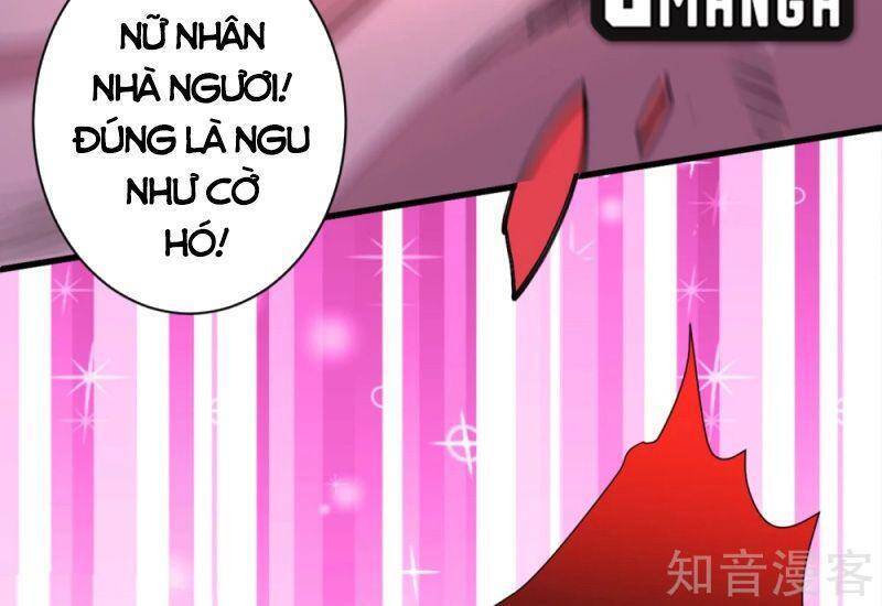 Bị Dạy Dỗ Thành Thánh