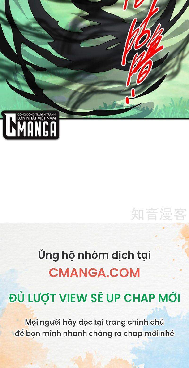 Bị Dạy Dỗ Thành Thánh