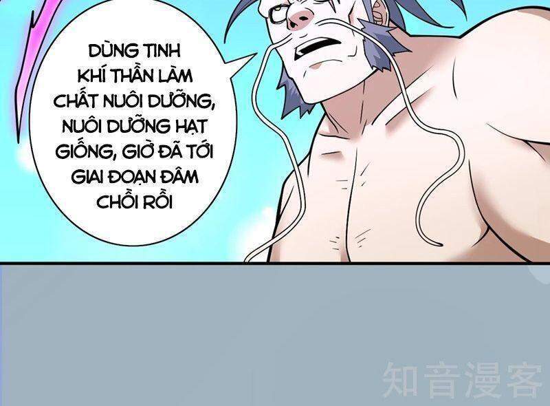 Bị Dạy Dỗ Thành Thánh