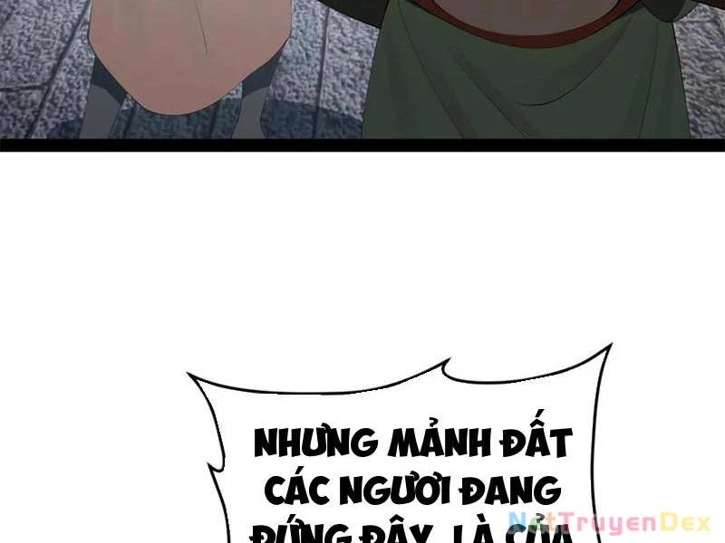 Chàng Rể Mạnh Nhất Lịch Sử