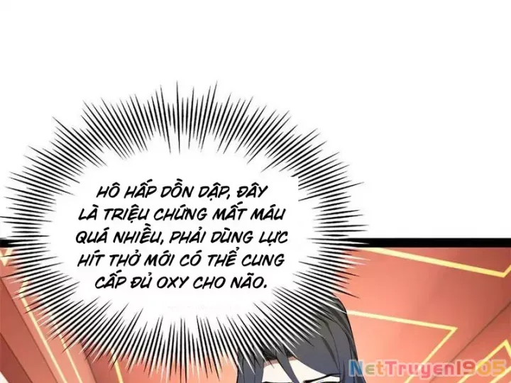 Chàng Rể Mạnh Nhất Lịch Sử