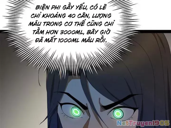Chàng Rể Mạnh Nhất Lịch Sử