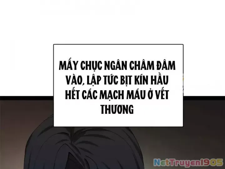 Chàng Rể Mạnh Nhất Lịch Sử
