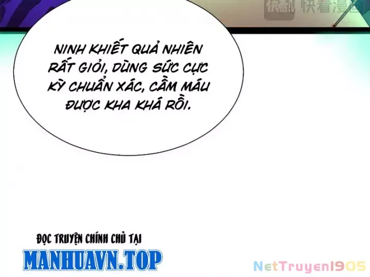 Chàng Rể Mạnh Nhất Lịch Sử