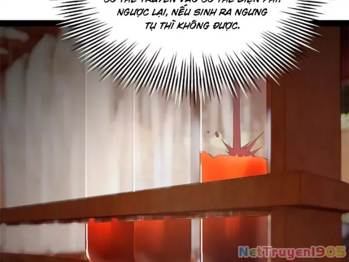 Chàng Rể Mạnh Nhất Lịch Sử